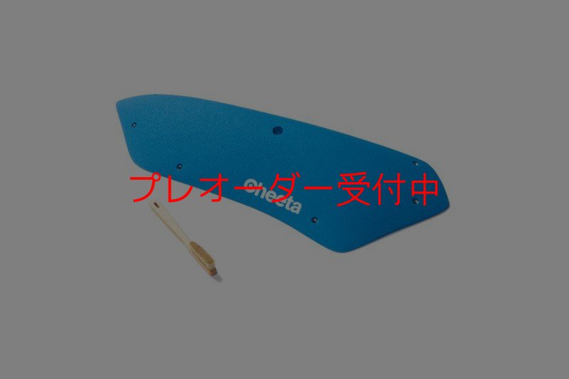 画像6: CT Stadium 9/プレオーダー (6)