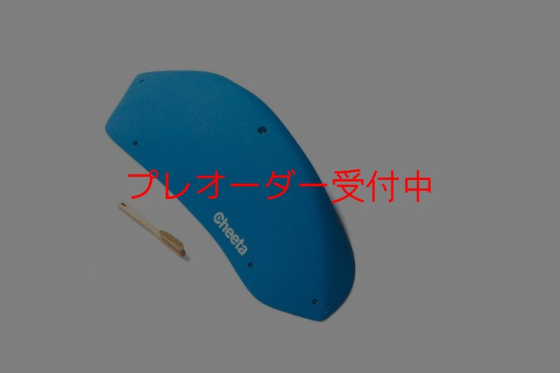 画像8: CT Stadium 5/プレオーダー (8)