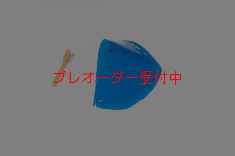 画像6: CT Odyssey 14 DT/プレオーダー (6)