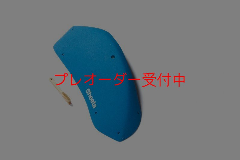 画像9: CT Stadium 5/プレオーダー (9)