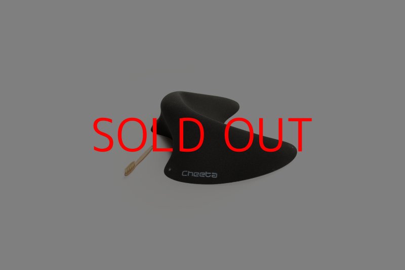 画像2: CT Taji Pinch 4 (2)