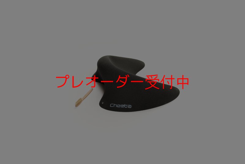 画像2: CT Taji Pinch 4/プレオーダー (2)