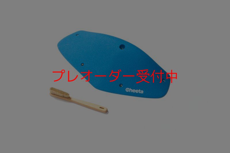 画像7: CT Odyssey 14/プレオーダー (7)