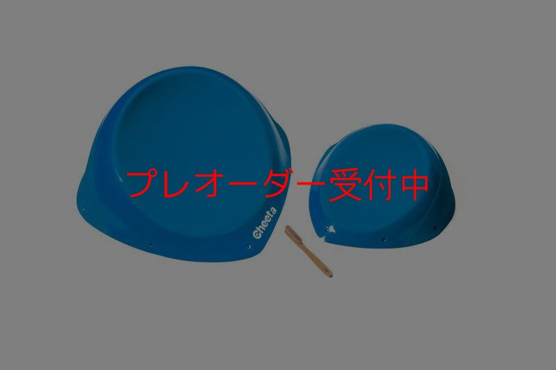 画像2: CT Taji 1 SM DT/プレオーダー (2)