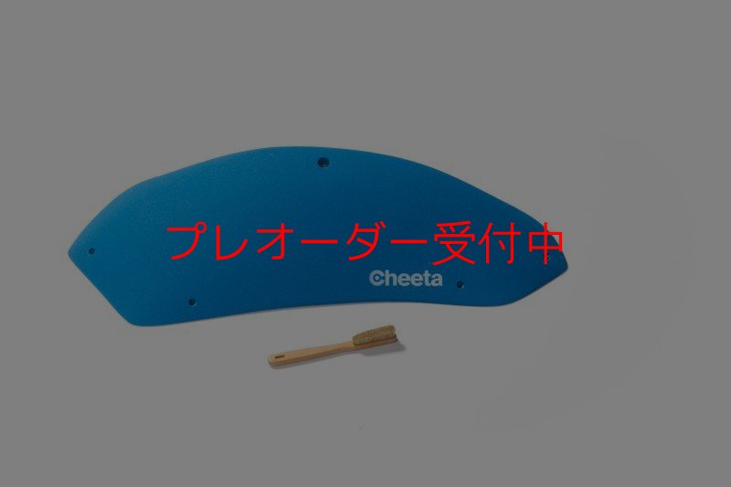 画像3: CT Stadium 5/プレオーダー (3)