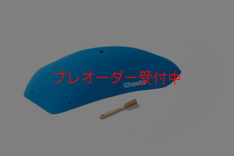 画像2: CT Stadium 5/プレオーダー (2)
