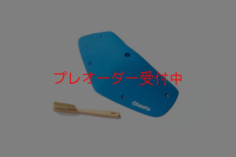 画像4: CT Odyssey 15/プレオーダー (4)