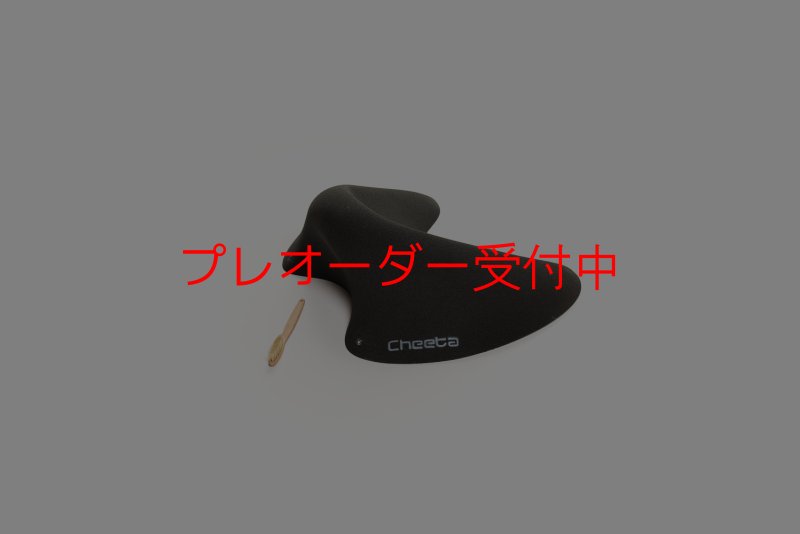 画像1: CT Taji Pinch 4/プレオーダー (1)