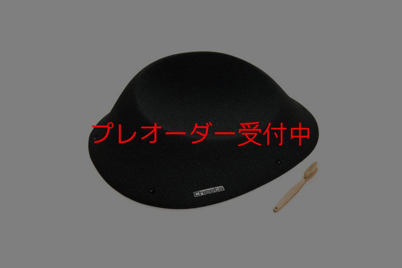 画像1: CT Taji Slab 2/プレオーダー (1)
