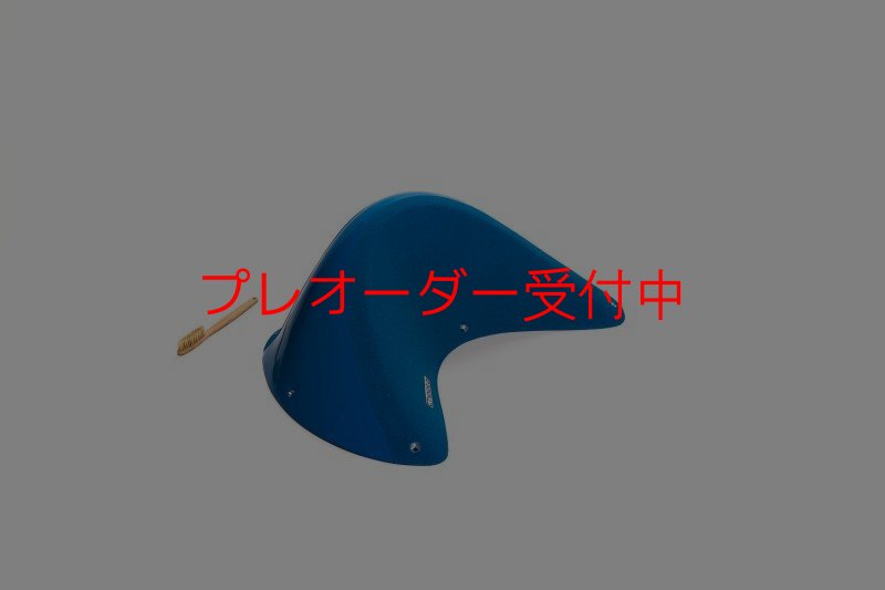 画像5: CT Taji Pinch 5 DT/プレオーダー (5)