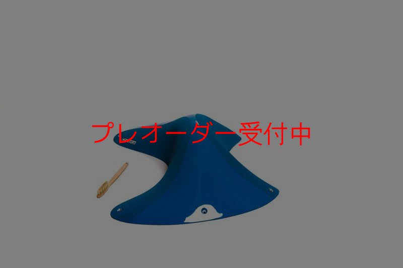 画像1: CT Taji Pinch 6 DT/プレオーダー (1)