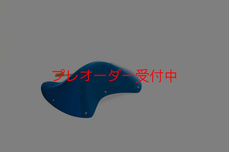 画像6: CT Taji Pinch 6 DT/プレオーダー (6)