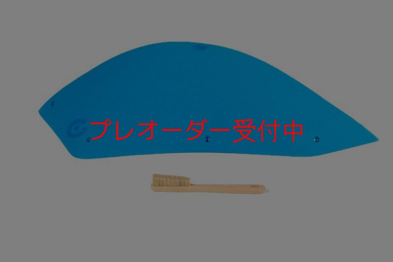 画像5: CT  Stadium MEG 8/プレオーダー (5)