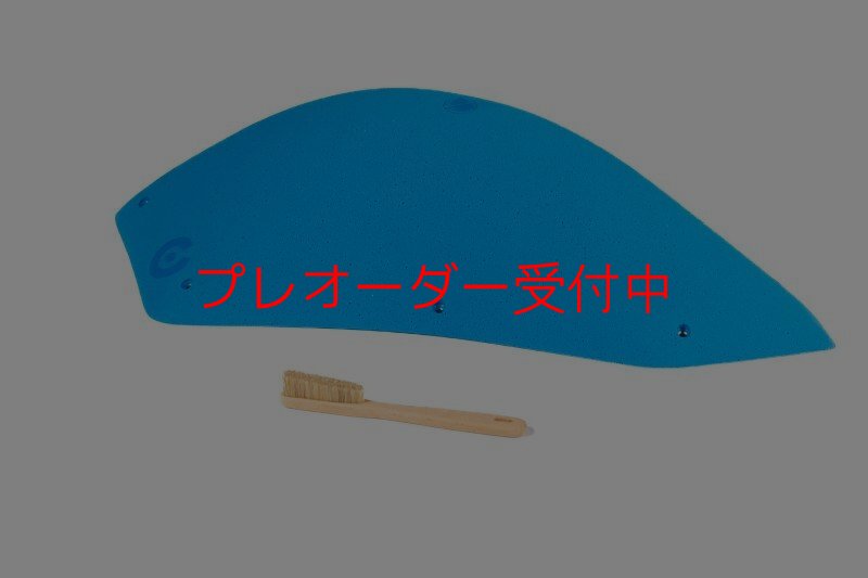 画像6: CT  Stadium MEG 8/プレオーダー (6)