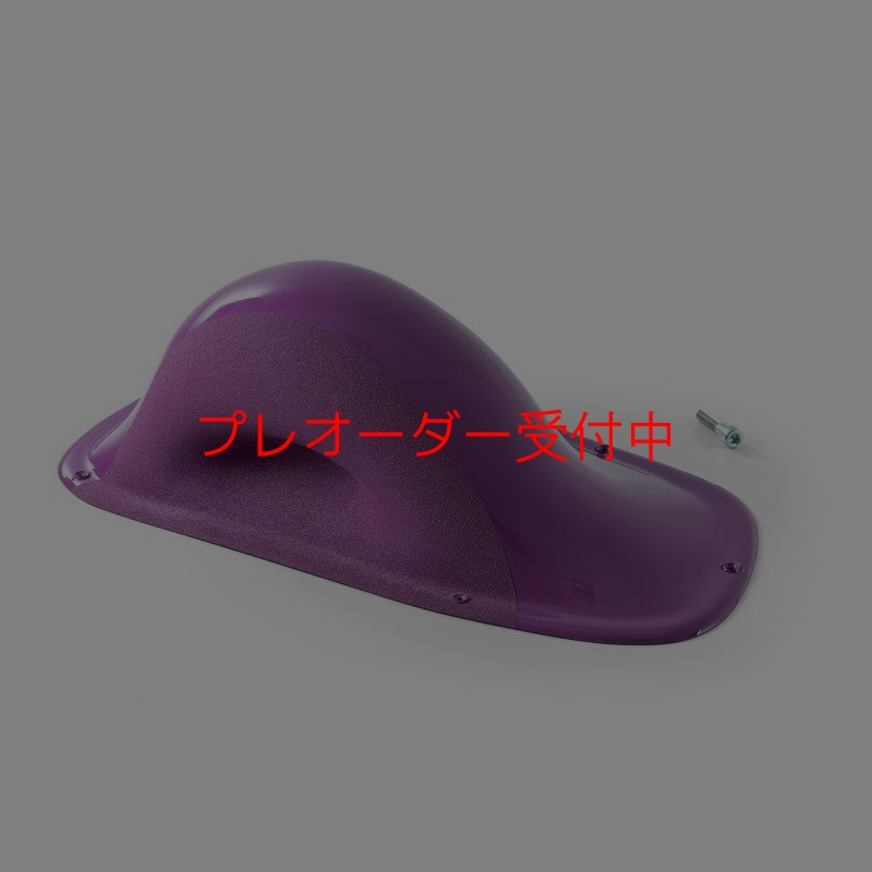 画像1: BP デュアルテクスチャー ファイバーインプレッション16/プレオーダー (1)