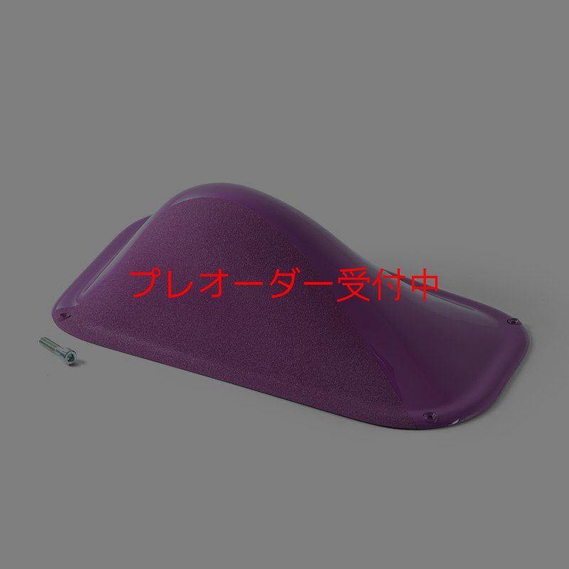 画像1: BP デュアルテクスチャー ファイバーインプレッション19/プレオーダー (1)
