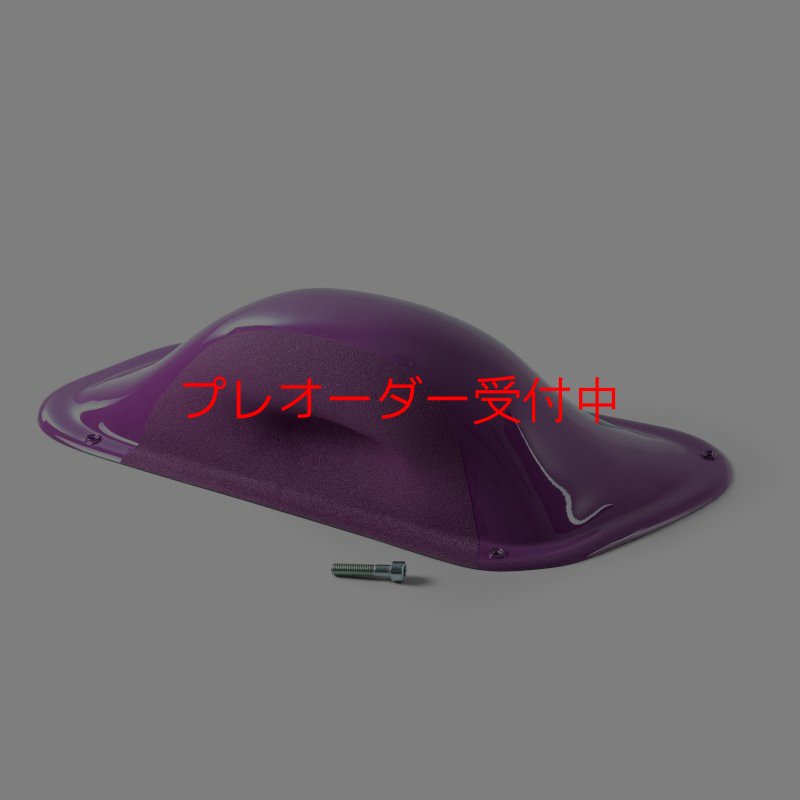 画像1: BP デュアルテクスチャー ファイバーインプレッション15/プレオーダー (1)