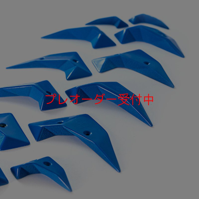 画像3: BP　micro wings　/プレオーダー (3)