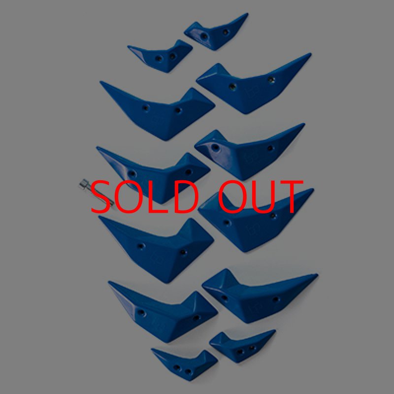 画像1: BP micro wings  (1)