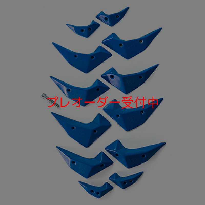 画像1: BP　micro wings　/プレオーダー (1)