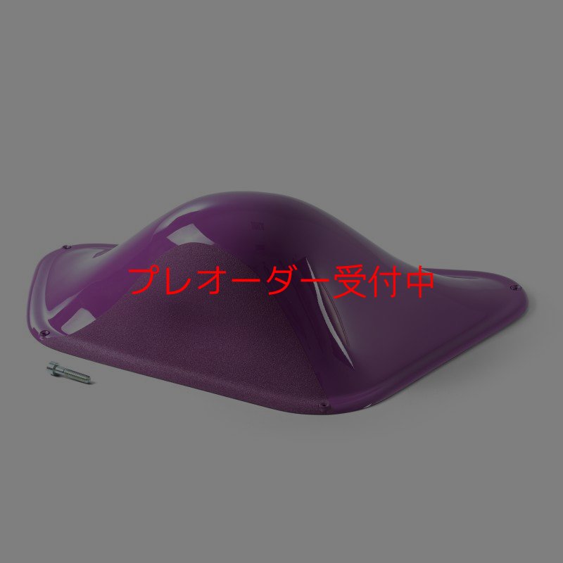 画像1: BP デュアルテクスチャー ファイバーインプレッション22/プレオーダー (1)