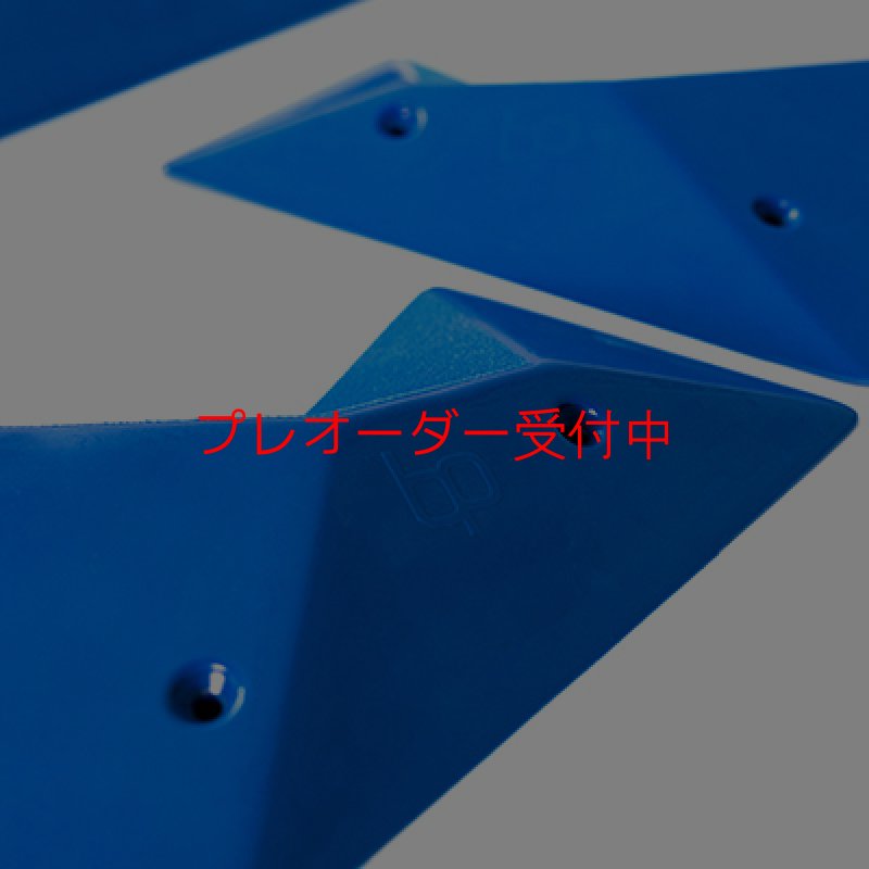 画像2: BP　mini wings thin/プレオーダー (2)