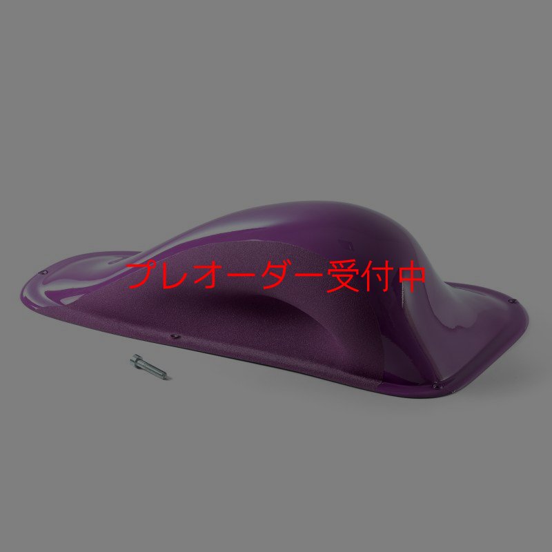 画像1: BP デュアルテクスチャー ファイバーインプレッション17/プレオーダー (1)