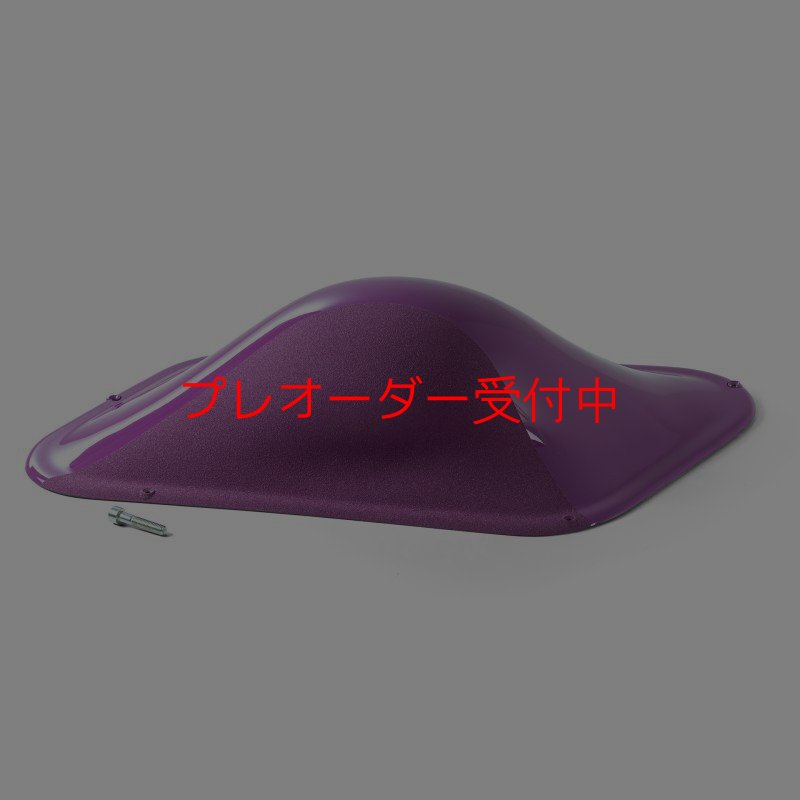 画像1: BP デュアルテクスチャー ファイバーインプレッション21/プレオーダー (1)
