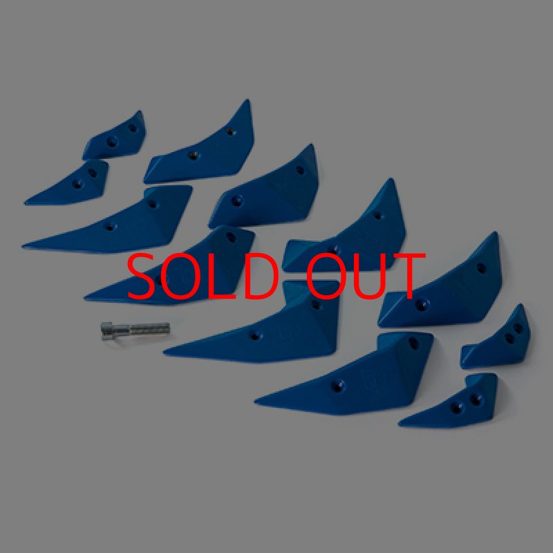 画像2: BP micro wings  (2)