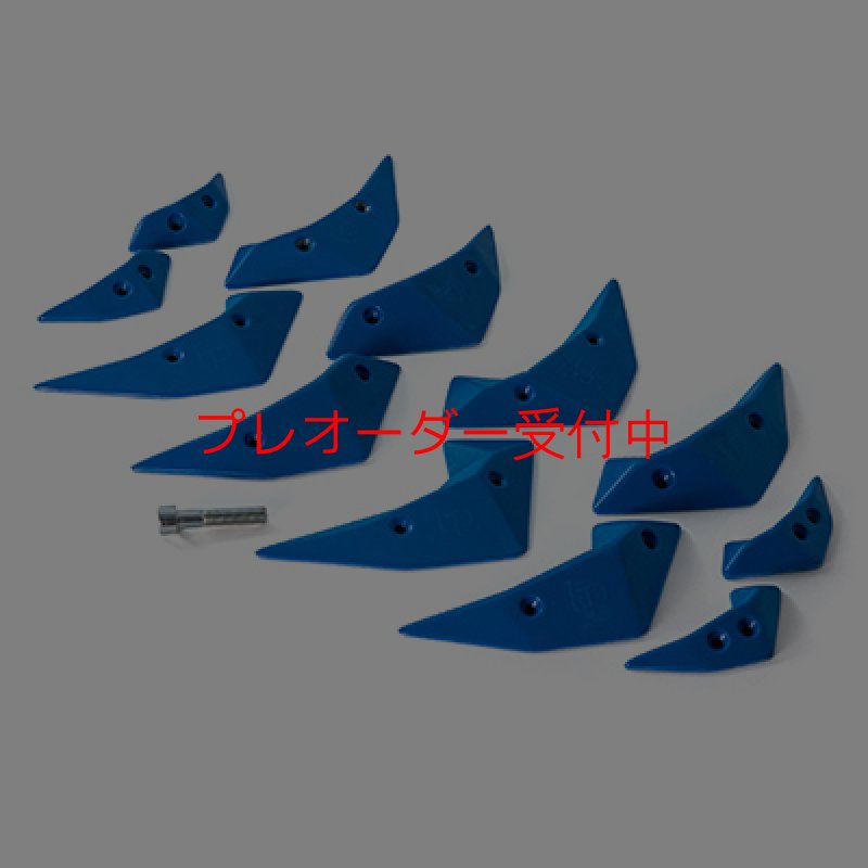 画像2: BP　micro wings　/プレオーダー (2)