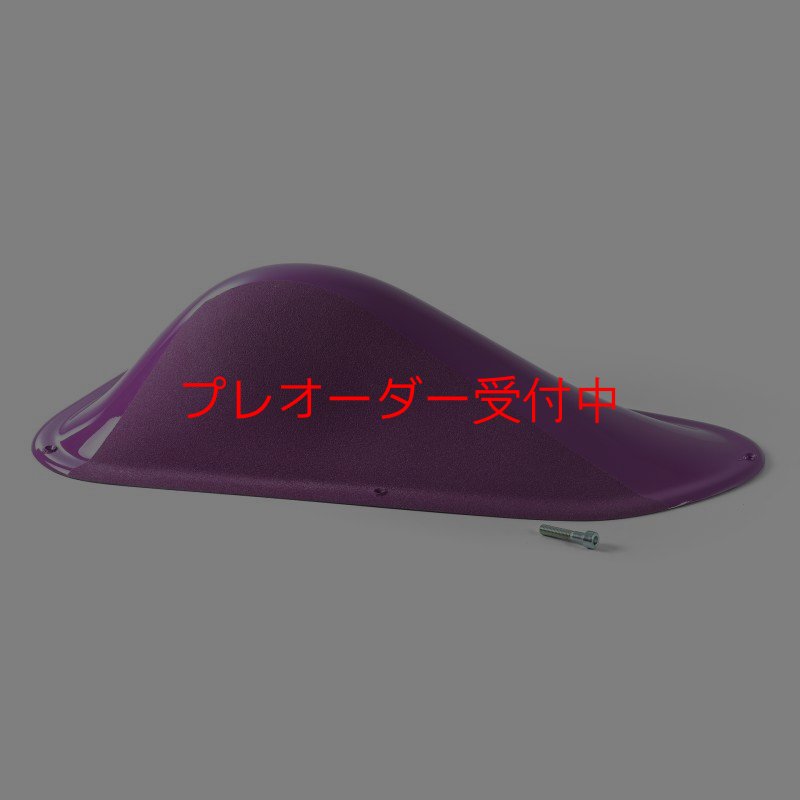 画像1: BP デュアルテクスチャー ファイバーインプレッション20/プレオーダー (1)