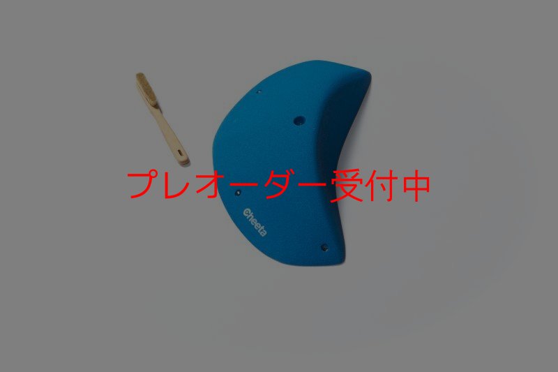 画像7: CT Odyssey 12/プレオーダー (7)