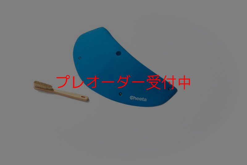 画像3: CT Odyssey 12/プレオーダー (3)