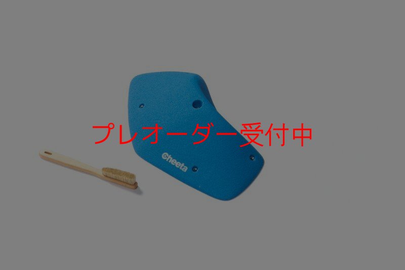 画像3: CT Odyssey 13/プレオーダー (3)
