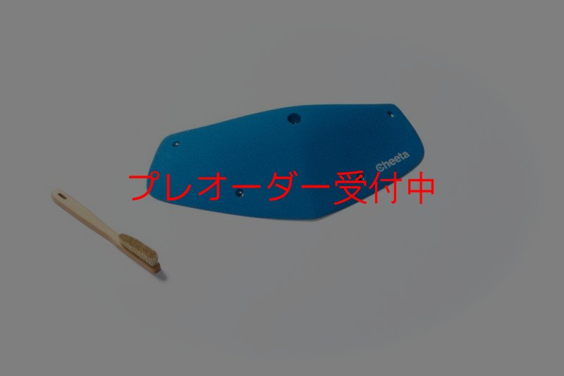 画像3: CT Odyssey 16/プレオーダー (3)