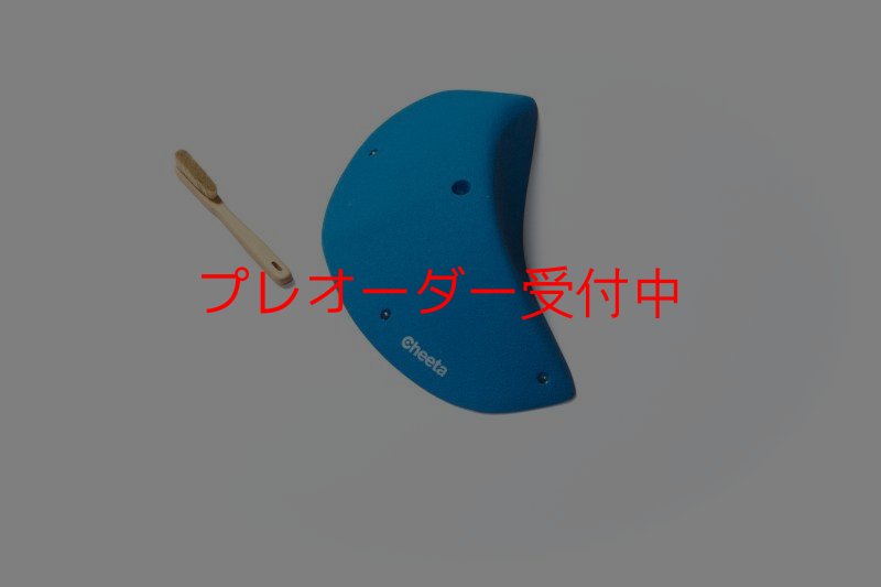 画像6: CT Odyssey 12/プレオーダー (6)