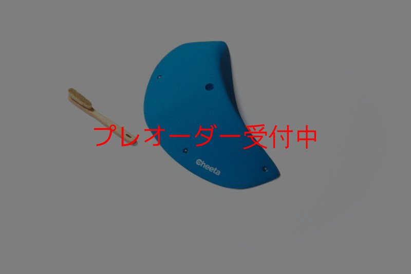 画像5: CT Odyssey 12/プレオーダー (5)