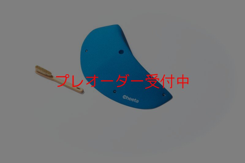 画像4: CT Odyssey 12/プレオーダー (4)