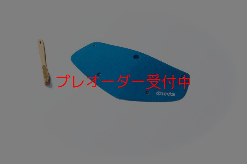 画像6: CT Odyssey 16/プレオーダー (6)