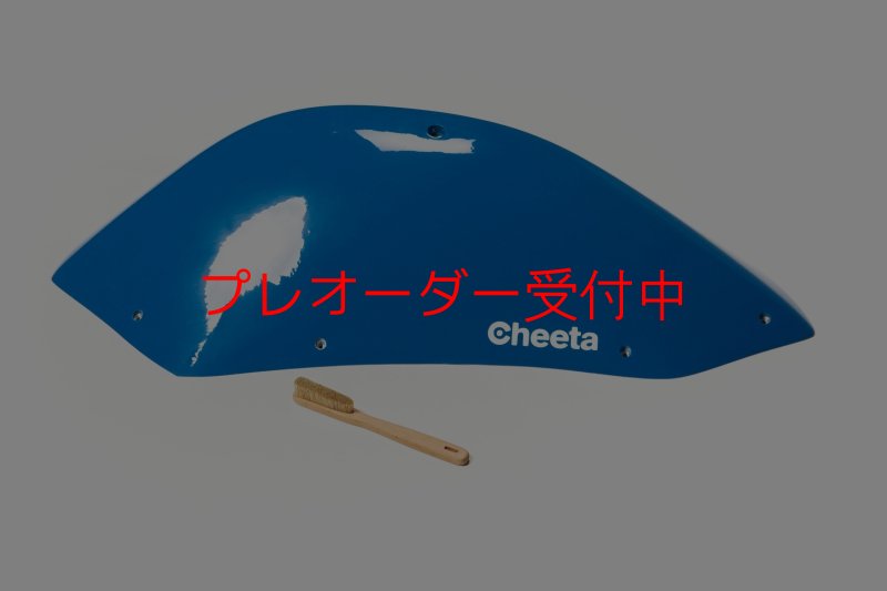 画像3: CT Stadium 1 DT/プレオーダー (3)