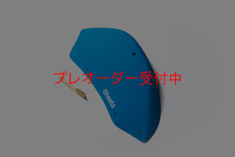 画像2: CT Stadium 1/プレオーダー (2)