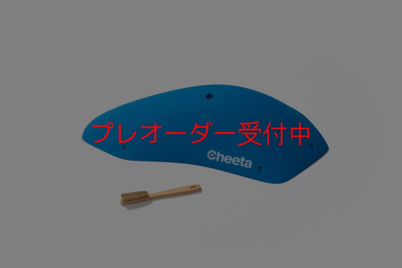 画像2: CT Stadium 2/プレオーダー (2)