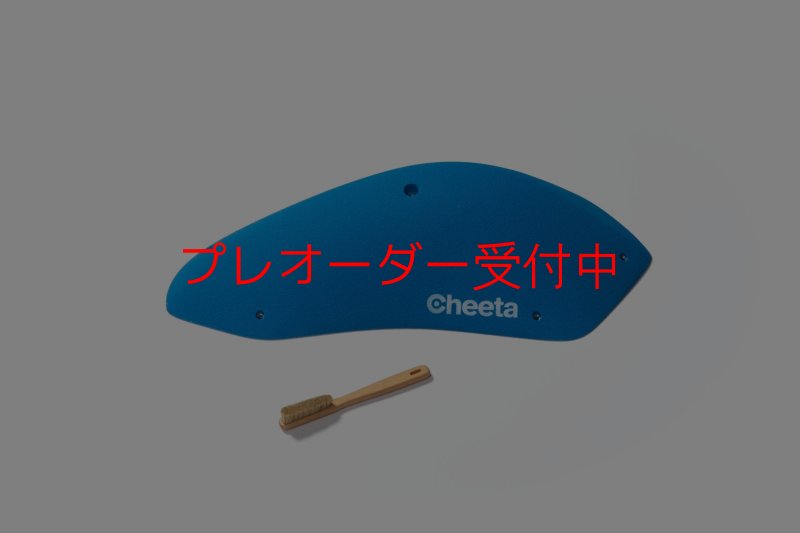 画像1: CT Stadium 2/プレオーダー (1)
