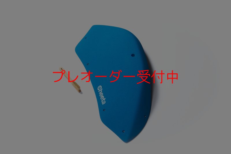 画像3: CT Stadium 1/プレオーダー (3)