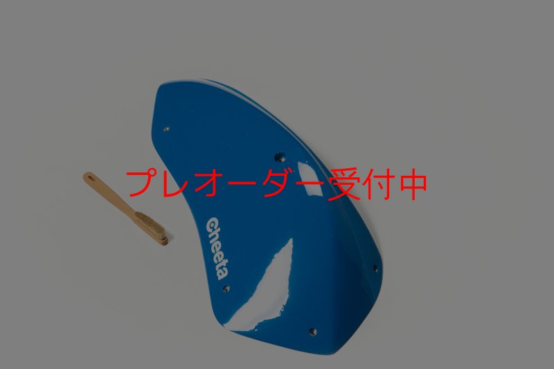 画像6: CT Stadium 2 DT/プレオーダー (6)