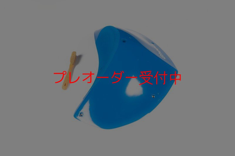画像6: CT Odyssey 11 DT/プレオーダー (6)
