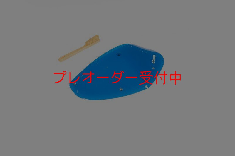 画像9: CT Odyssey 9 DT/プレオーダー (9)