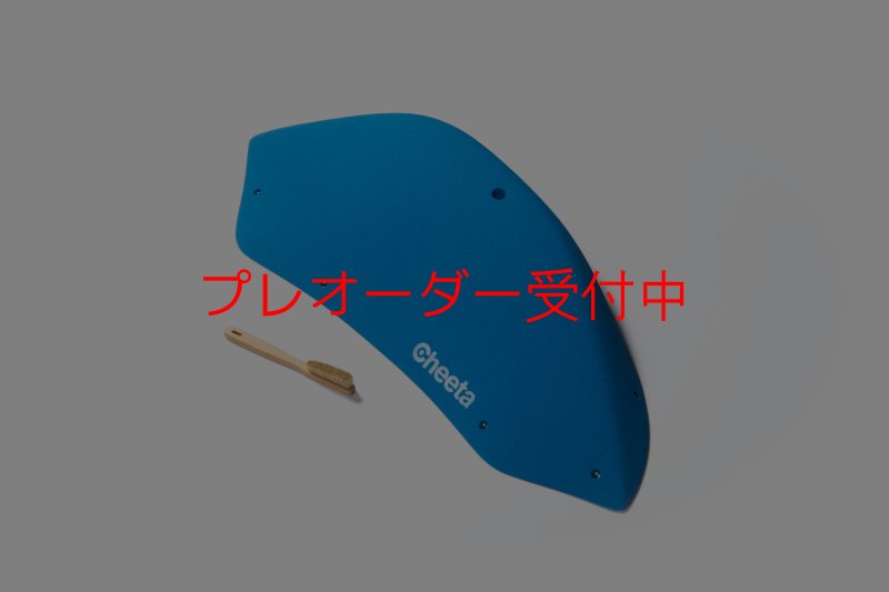 画像1: CT Stadium 1/プレオーダー (1)