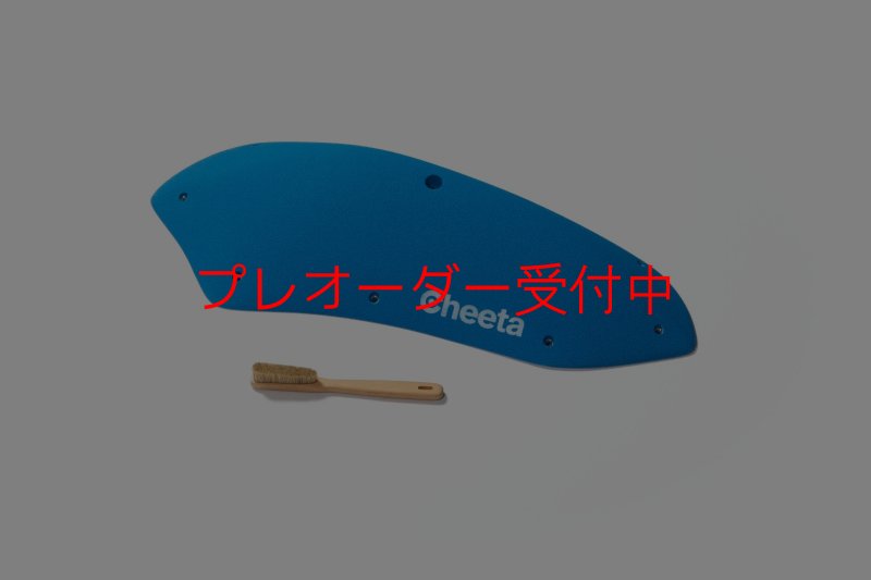 画像3: CT Stadium 7/プレオーダー (3)