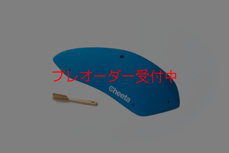 画像4: CT Stadium 2/プレオーダー (4)